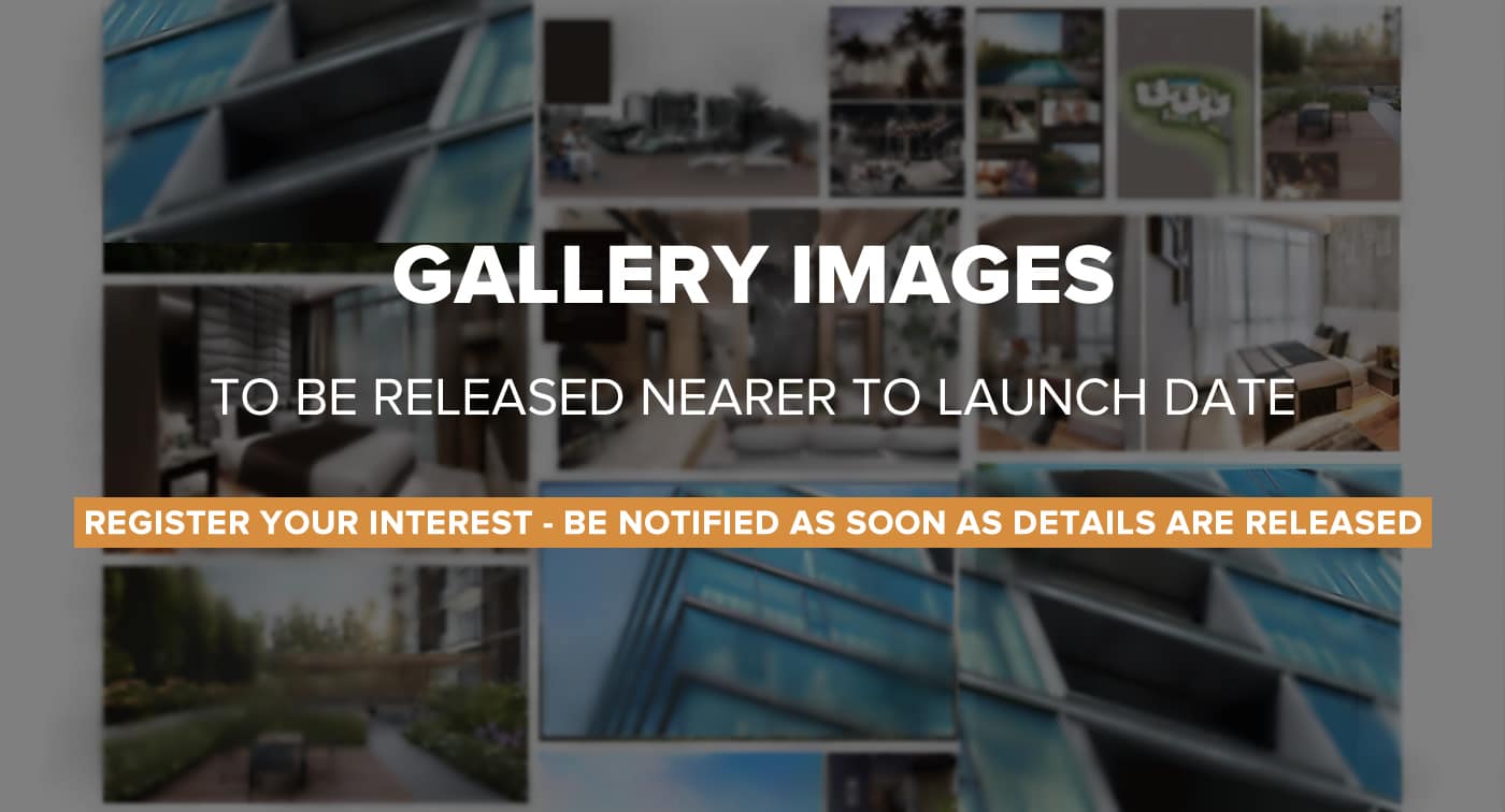 Gallery-Images